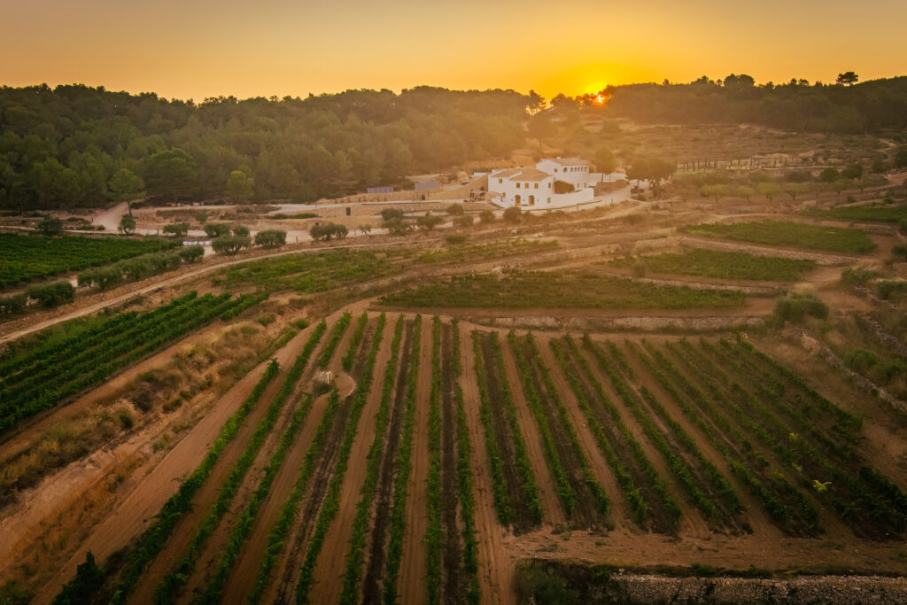 sunset over barcelona vineyard wedding venue